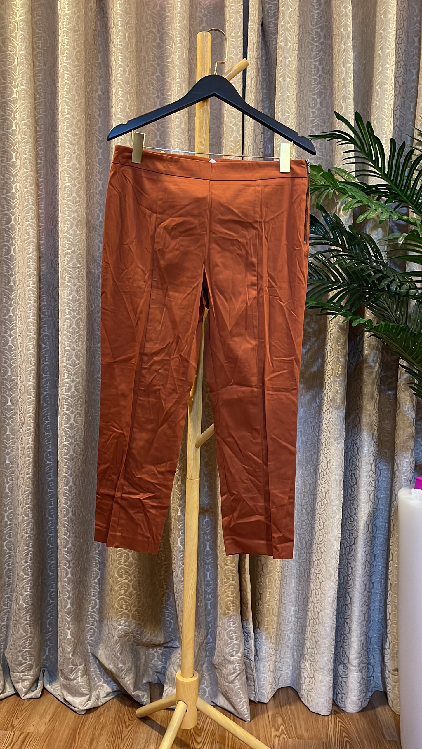 Brown Plain Trouser