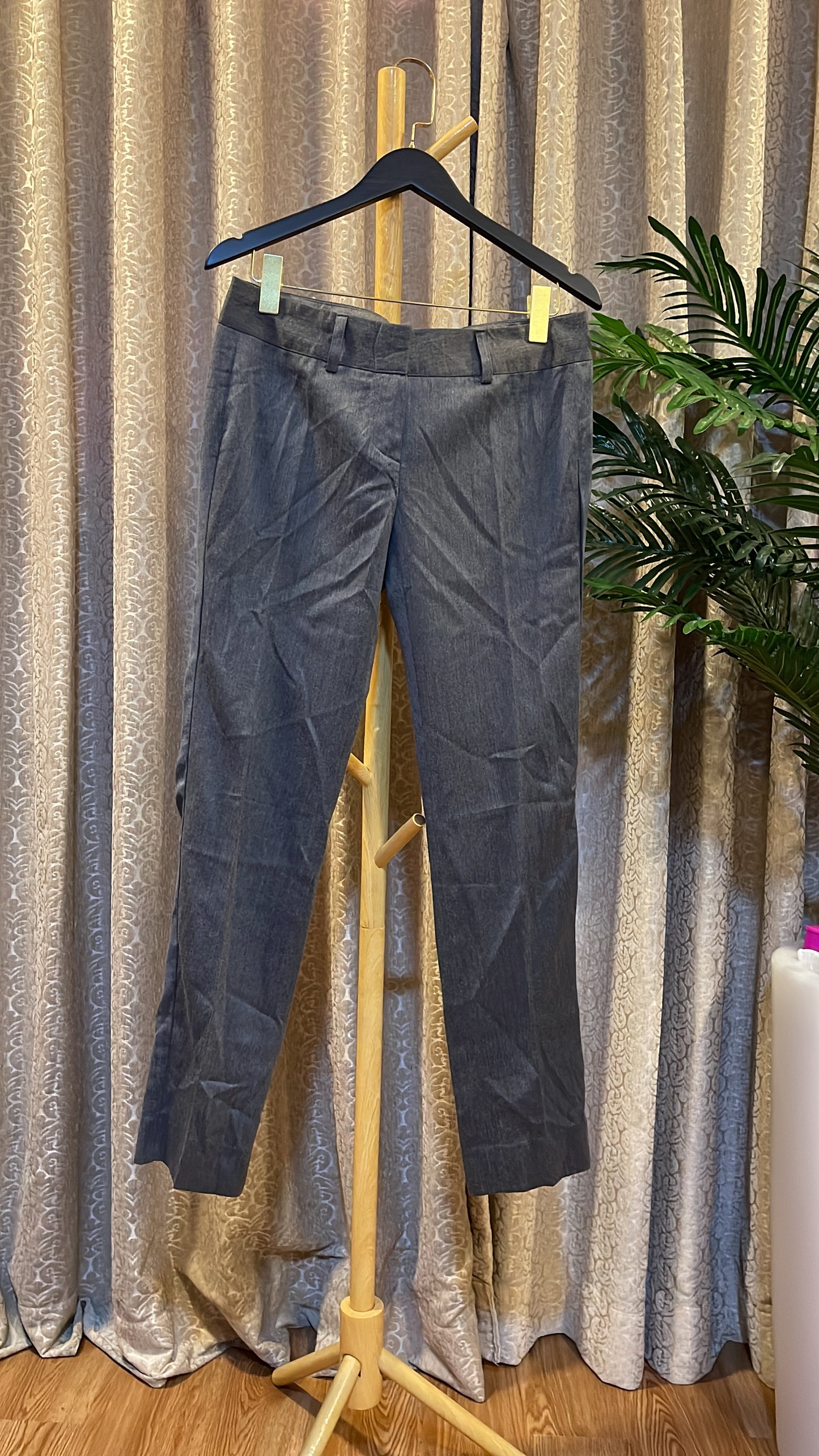 Gray Plain Trouser